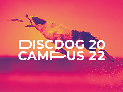 Discdog Campus | Branding - Social Media