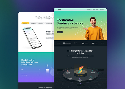Crypto BaaS platform website design