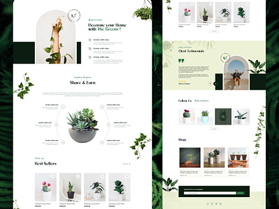 Botany Website UI Design | Web Design | UI UX Design | Nature green website plant website ui design ui ux ui ux design web web 3.0 web design website website ui design
