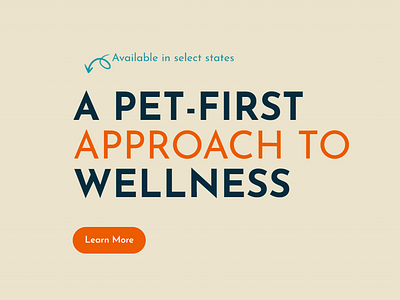 Pet-First Website blue css dog dog care html orange pet pet first responsive static page ui website