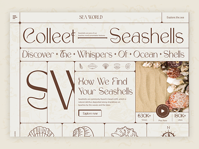 Seashell Website Exploration clean creative creative explore home page landing page minimal minimilistic modern design popular seashells typography ui visual design web web ui webdesign website design