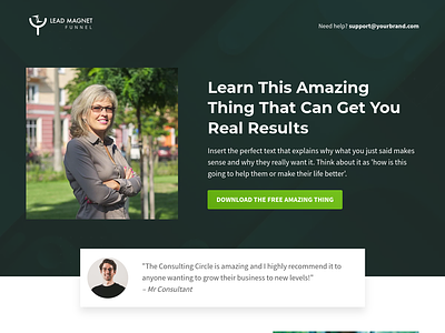 Consulting Lead Magnet Funnel Template for GoHighLevel agency template consulting consulting lead magnet design funnel design funnel template funnel theme ghl ghl template gohighlevel illustration ui