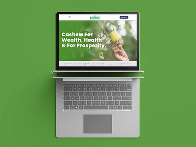 Cashew Product website UI_Thinkweb Hub graphic design ui ux website websitedesign