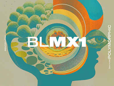 BLMXs album art album cover album covers design designersmx graphic design mix mixes music new age playlist psychedelic trippy