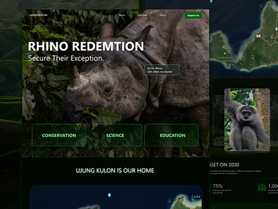 Landing Page For National Park Website adventure conservation national park nature rhino ui ux zoo