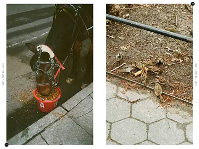 Snap+Chat March 2024 design film photography indesign layout new york nyc photography texture zine