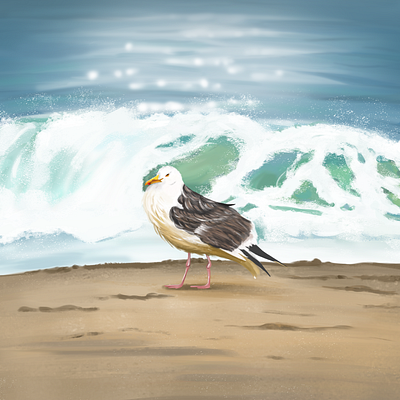 Seagull Digital Art art beach waves bird digital art illustration landscape ocean sea sea bird seagull summer water wave
