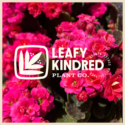 Leafy Kindred Plant Co. Identity brand identity identity design logo logo design plant nursery plants