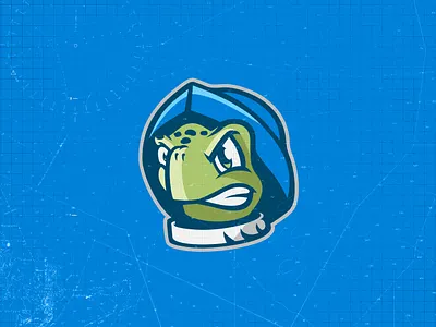 College of Coastal Georiga | Mascot Redesign & Branding ccg college of coastal georgia loggerhead turtle sea turtle logo turtle mascot logo