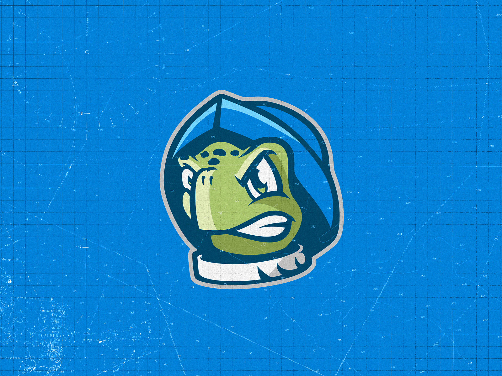 College of Coastal Georiga Mascot Redesign & Branding by Daniel