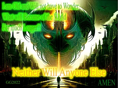 Wonder animation branding design graphic design illustration logo motion graphics