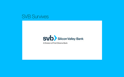 SVB - Survives art direction bank banking brand application brand design branding design finance fintech graphic design logo logo design silicon valley silicon valley bank svb visual identity