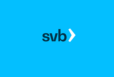 SVB - Rebrand art direction bank banking brand application brand design branding design finance fintech graphic design logo logo design silicon valley silicon valley bank svb visual identity