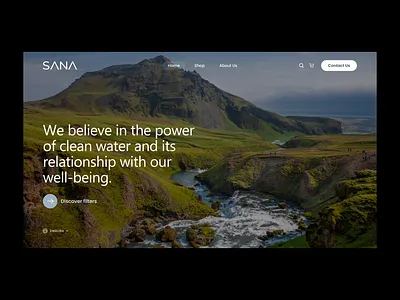 SANA Website. ui ux web design
