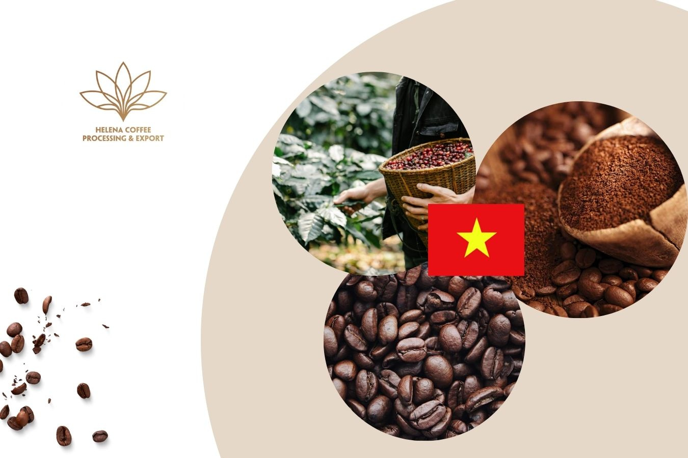 Awaken With The New Taste Of Cold Dried Coffee by Helena Coffee Vietnam ...