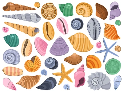 Seashell collection. adobe illustrator animals cartoon coreldraw design graphic design icons illustration pattern sea seashells shells sketch symbol vector