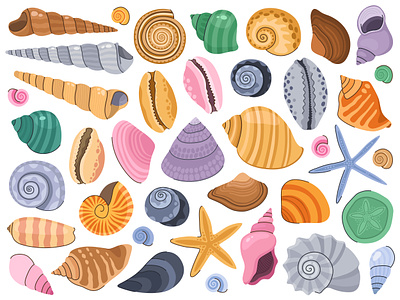 Seashell collection. adobe illustrator animals cartoon coreldraw design graphic design icons illustration pattern sea seashells shells sketch symbol vector