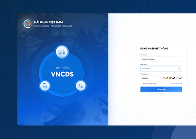 Vietnam Customs Declare System app ui