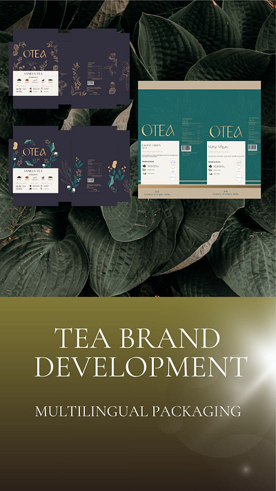 Packaging Design for Tea Brand graphic design illustration logo packaging design typography vector