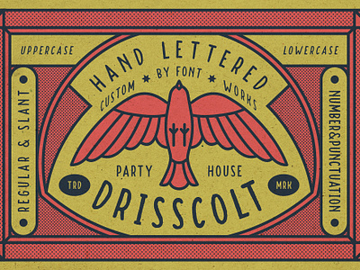 Drisscolt - Hand Lettered Font graphicdesigner