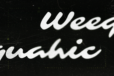 Weequahic Band Design band design brand branding graphic design identity design merchandise merchandise design music design music tour poster design rock band rock music