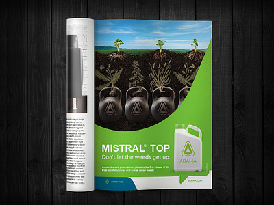 Mistral® Top. Key Visual branding design graphic design illustration typography