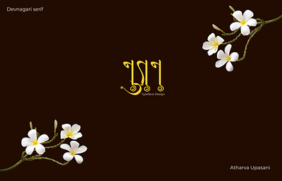 NUTAN | Typeface Design 2024 bloom blossom branding chapha design devanagari font fontfamily graphic design marathi new prajakta season serif spring typeface typography ui vasant