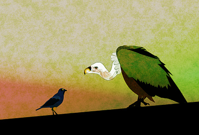 odd couple - WIP doodle griffon vulture illustration noise odd couple shunte88 vector