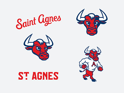 Saint Agnes Athletics aggies athletics branding bull college custom font logo logotype marching mascot school script sports type typography wordmark