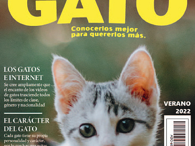 "El Gato"magazine tribute editorial graphic design indesign magazine vintage zine