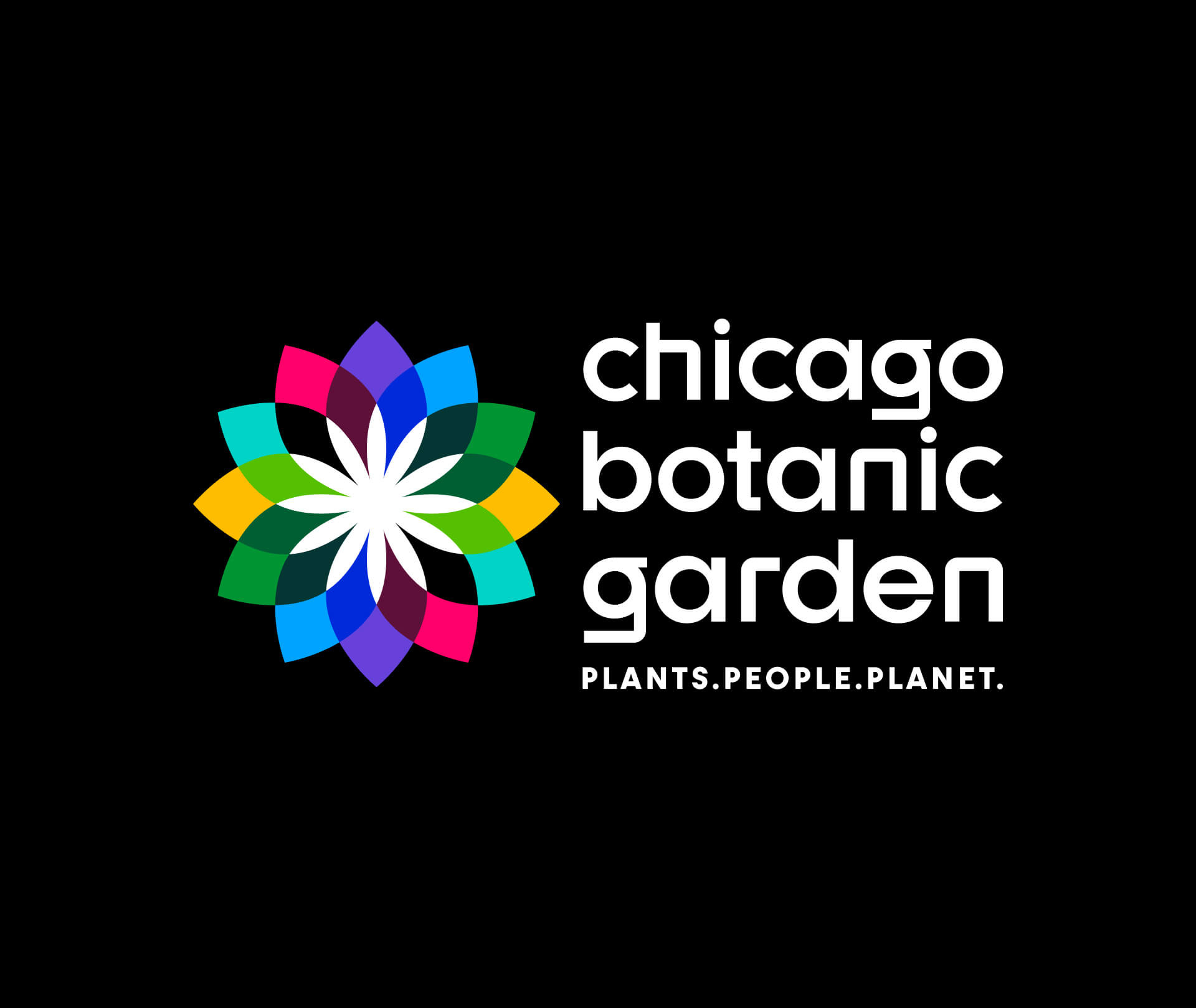 Chicago Botanic Garden Rebrand botanic garden brand brand strategy branding chicago logo midwest modern modernism modernist non profit rebrand visual identity