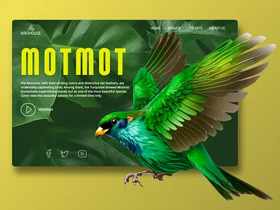 Bird Animal Viewing Website UI Design Landing Page ai animal app bird branding design graphic design illustration logo typography ui ui design ux ux design vector web web ui website