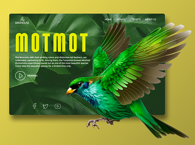 Bird Animal Viewing Website UI Design Landing Page ai animal app bird branding design graphic design illustration logo typography ui ui design ux ux design vector web web ui website