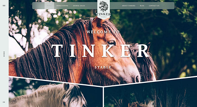 Tinker Stable · Transitions animation app branding design motion graphics ui ux web website