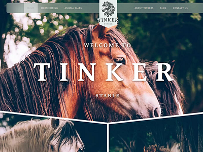 Tinker Stable · Transitions animation app branding design motion graphics ui ux web website