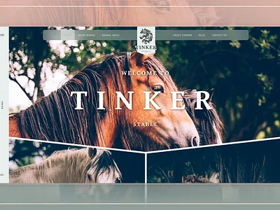 Tinker Stable · Full Case app branding crm design ui ux web website