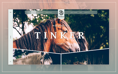 Tinker Stable · Full Case app branding crm design ui ux web website