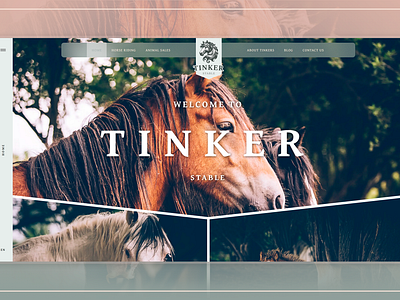 Tinker Stable · Full Case app branding crm design ui ux web website