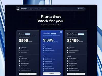 Pricing Page SaaS Crewfitly Update 2024 design interface minimal product service startup ui ux web website