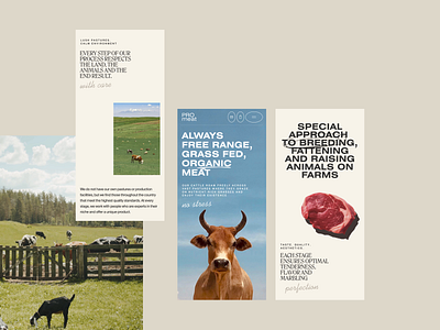 Promeat clean design farm food horeca meat restaurant site store ui ux web