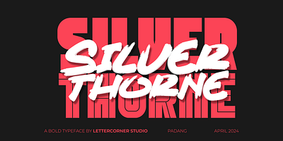SILVERTHORNE badge branding cloud font logo typeface