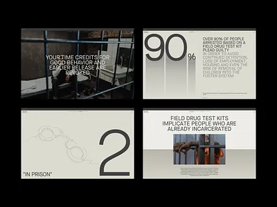 Drug Test Innocence Website Pages design editorial educational graphic design interaction design interface law legal social society ui user experience user interface ux web web design web layout web pages website website design