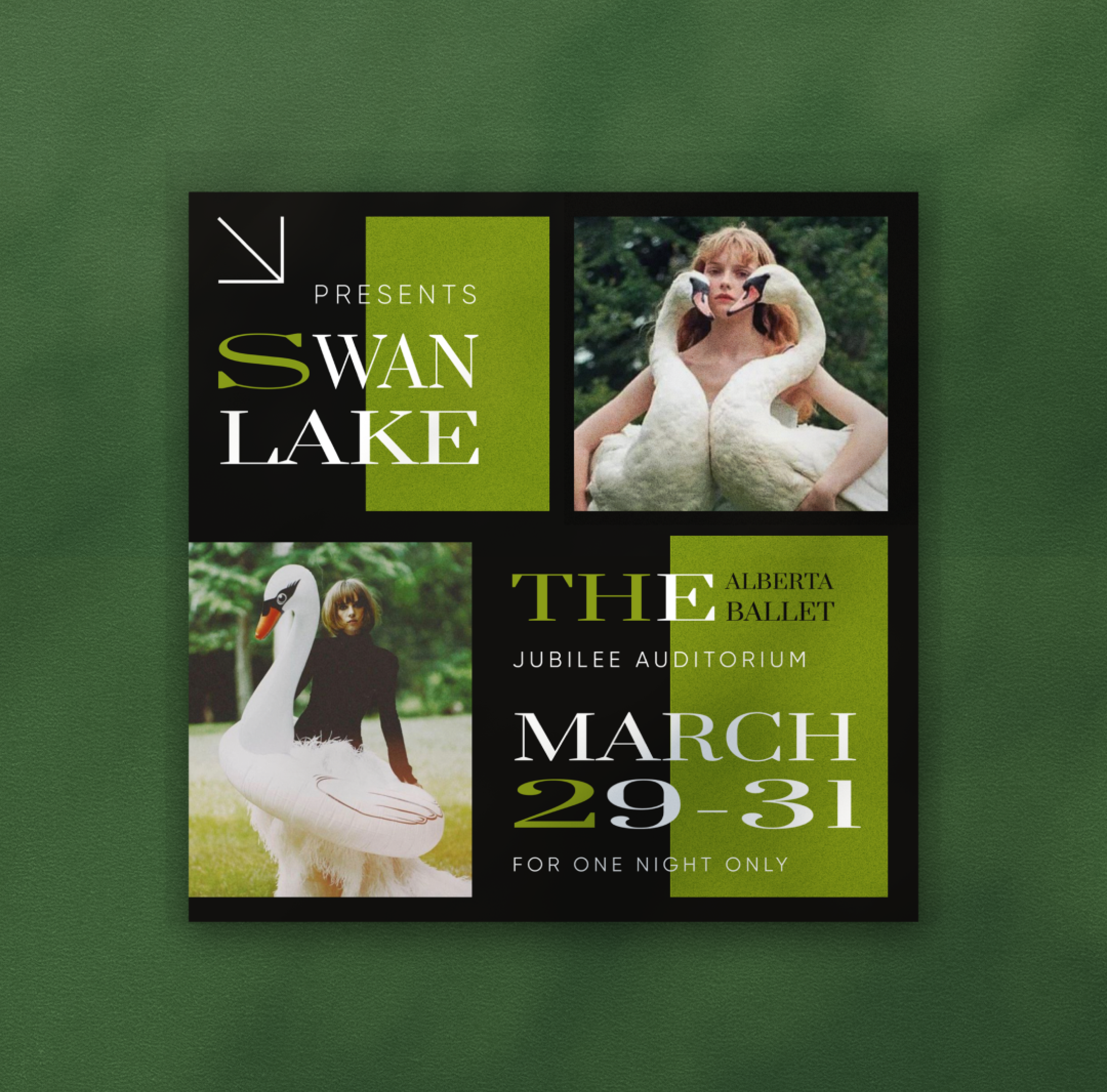 Swan Lake branding graphic design