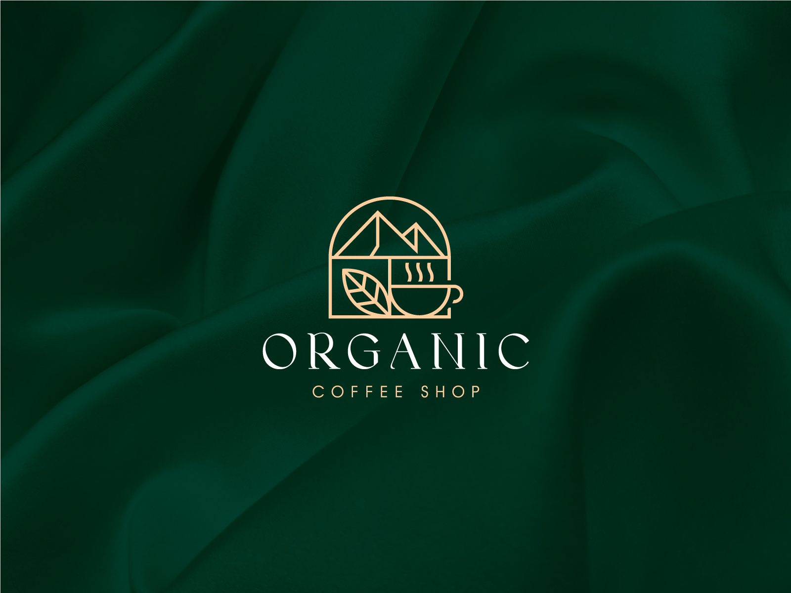 Example of Professional Logo Design
