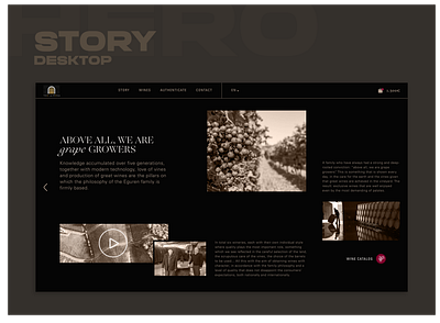 Teso la Monja - website concept - Story 2/2 about us art direction concept figma interaction spain story toro ui user interface web web design webdesign website wine winery