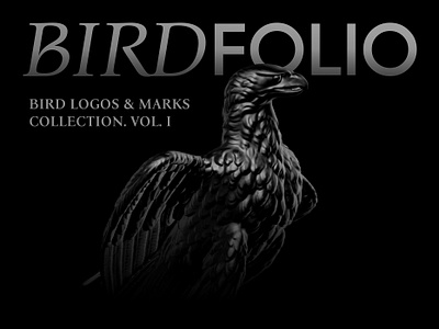 Bird Logos & Marks animal behance bird birds crane dove eagle falcon hawk kazakhstan logo collection logofolio logomark logoset logotypes pigeon portfolio raven symbols wings