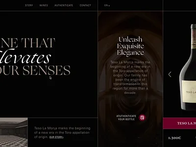 Teso la Monja - website concept - Tasting notes interaction animation art direction concept interaction interactive prototype spain tasting notes technical sheet teso la monja toro ui web web design webdesign website wine winery