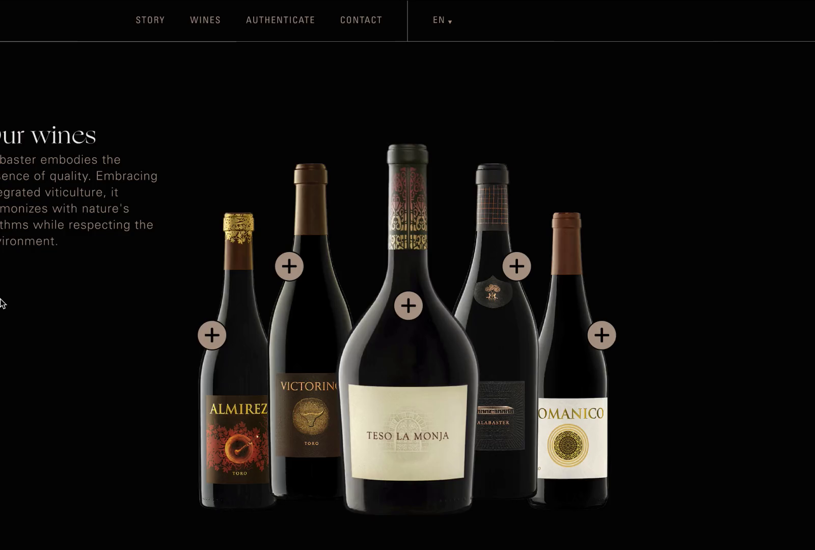 Teso la Monja - website concept - Wine catalog interaction demo by ...