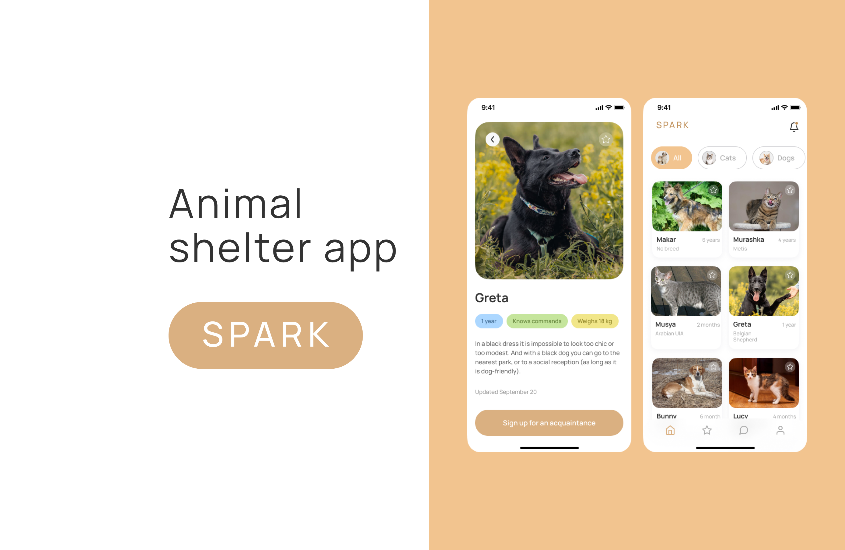 Animal shelter app branding mobile ui ux