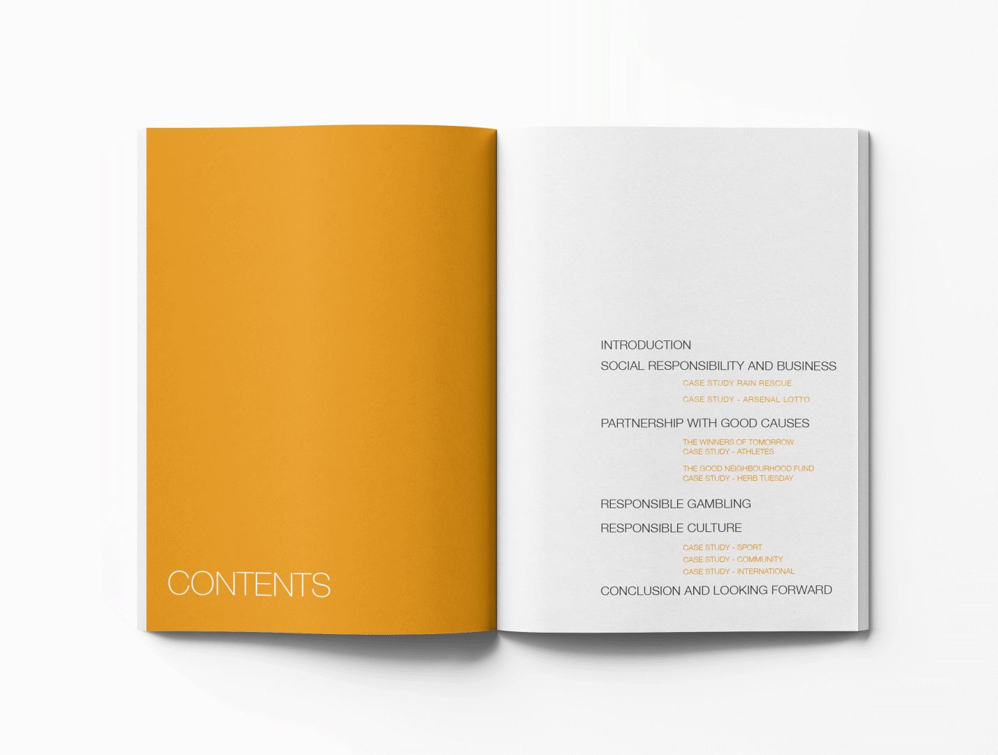 editorial. editorial editorial magazine graphic design layout magazine